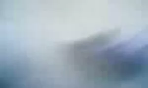 Vagina adalah semua filem lucah malay asap