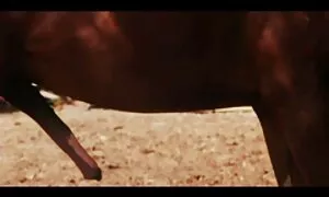 Trek dan video seks lucah selepas itu, dia kotoran.